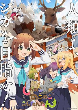 韩国A片久久精品